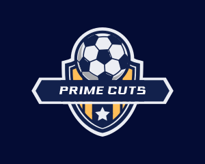 Soccer Ball Shield logo design