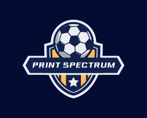 Soccer Ball Shield logo design