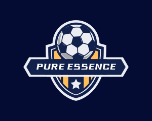 Soccer Ball Shield logo design