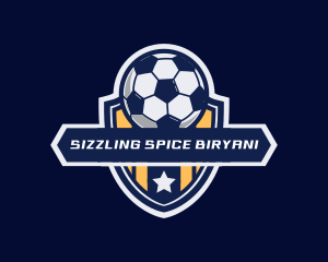 Soccer Ball Shield logo design