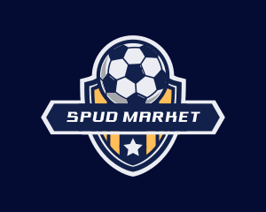 Soccer Ball Shield logo design