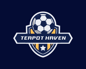 Soccer Ball Shield logo design