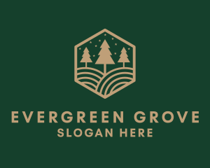 Pine Tree Forest logo design