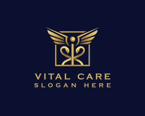 Medical Caduceus Healthcare logo