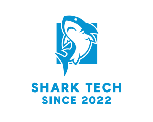 Shark Surf Gear logo design