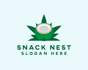 Tropical Coconut Leaf logo design