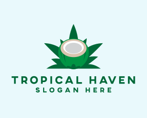 Tropical Coconut Leaf logo design