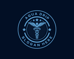 Caduceus Medical Hospital logo design