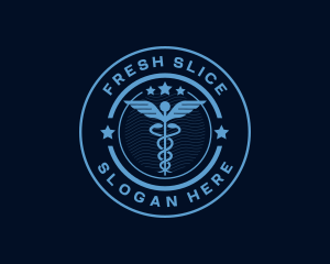 Caduceus Medical Hospital logo design