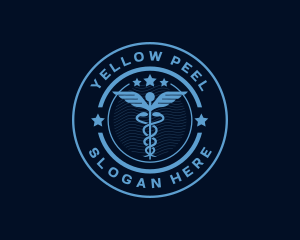 Caduceus Medical Hospital logo design