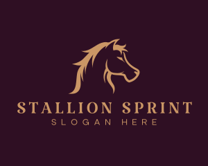 Equine Stallion Horse logo design