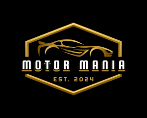 Luxury Race Car Detailing logo design