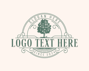 Eco Valley Oak Tree logo