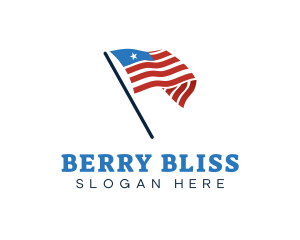 America Country Flag logo design