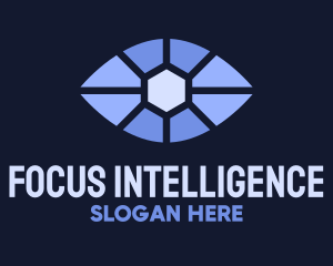 Blue Eye Focus  logo
