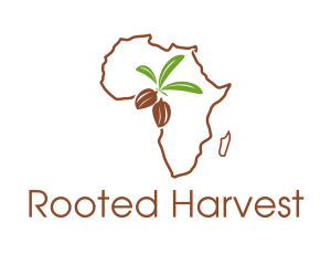 African Cocoa Agriculture  logo design