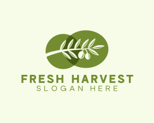 Natural Olive Branch  logo design