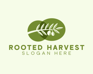 Natural Olive Branch  logo design