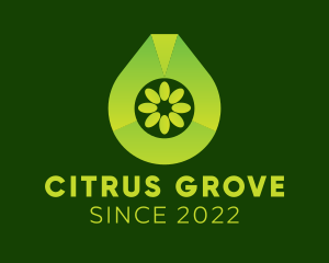 Citrus Water Beverage  logo