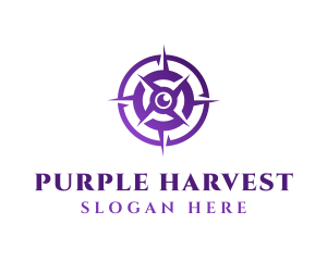 Purple Navigation Compass logo design