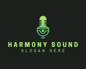 Microphone Broadcast Studio Logo