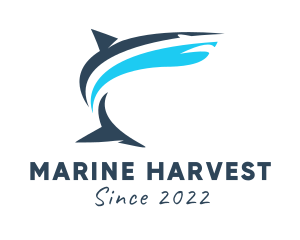 Aquarium Marine Shark  logo design