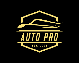 Auto Garage Emblem logo