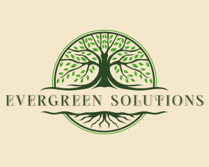 Tree Roots Wellness logo design