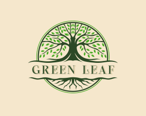 Tree Roots Wellness logo