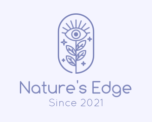 Sparkling Nature Eye  logo design