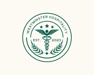 Medical Caduceus Pharmacy logo design