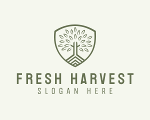 Eco Forest Shield logo design