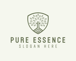 Eco Forest Shield logo design