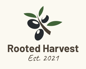 Olive Fruit Branch logo design