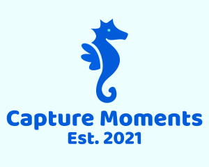 Blue Marine Seahorse  logo