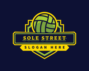 Sports Club Volleyball Team logo design