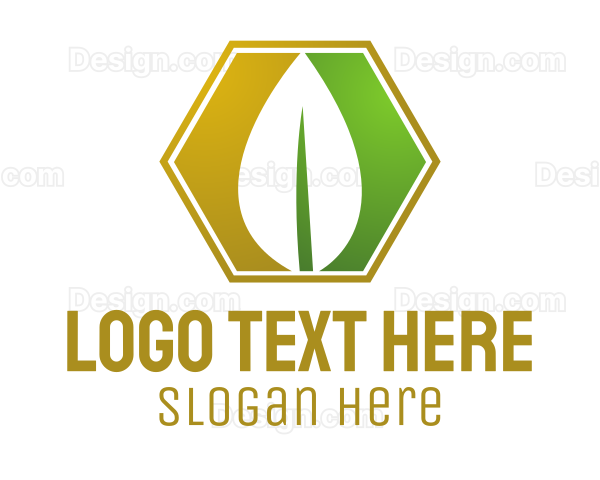 Herbal Leaf Hexagon Logo