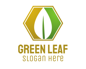 Herbal Leaf Hexagon logo design