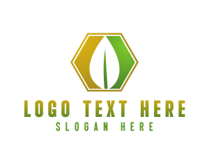 Herbal Leaf Hexagon logo