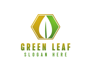 Herbal Leaf Hexagon logo design