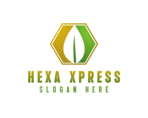 Herbal Leaf Hexagon logo design