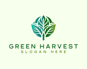 Leaf Nature Vegetation logo design