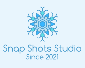 Blue Frozen Snowflake logo