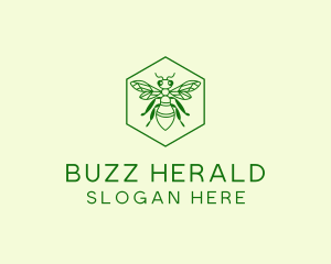 Bee Hexagon Apiary logo design