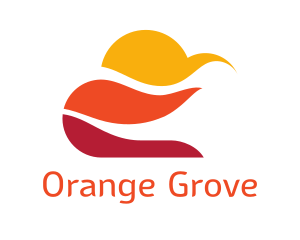 Orange  Sky logo design