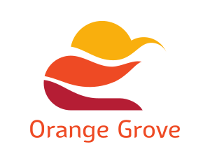 Orange  Sky logo