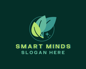 Natural Organic Leaf Logo