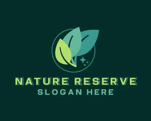 Natural Organic Leaf logo design