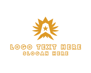 Feathers - Star Crown Wings logo design