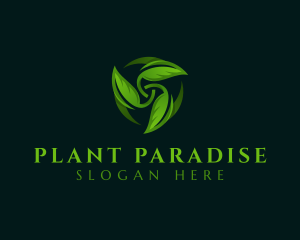 Natural Plant Leaf logo design